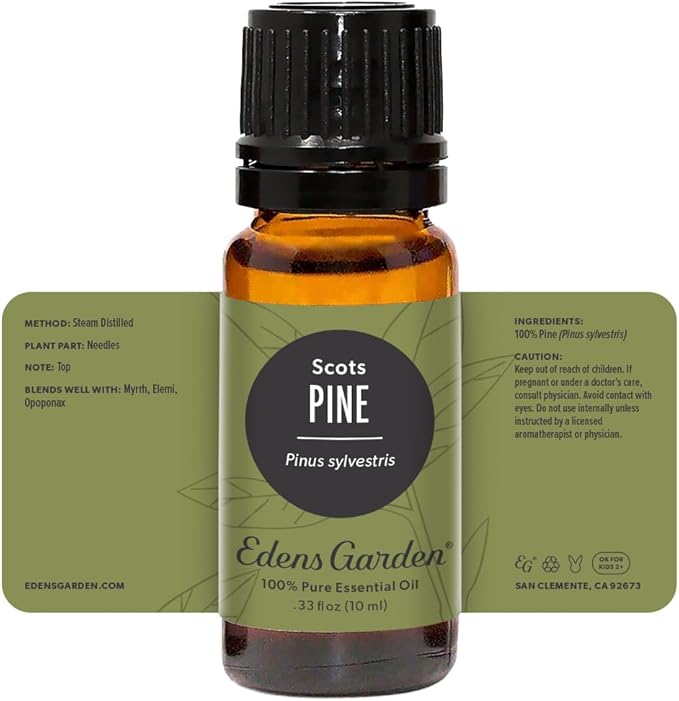 Edens Garden Pine- Scots Essential Oil- 100% Pure Premium Grade, Undiluted, Natural, Therapeutic, Aromatherapy, The Best for Diffuser, Candle, Humidifiers, Kid Safe 10 ml (.33 fl oz)