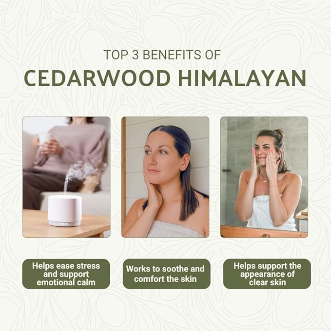 Cedarwood Himalayan Essential Oil - 100% Pure Steam Distilled Natural Cedarwood Himalayan Oil (Aceite de Cedro) from Natural Biotech NBT India for Aromatherapy & DIY Projects - 22lbs