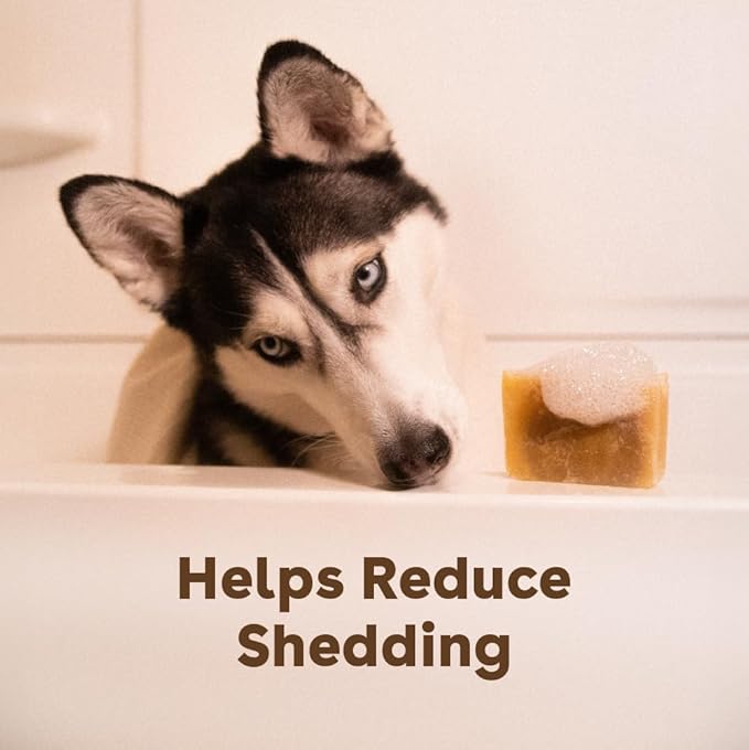 Pupford Sudsy Shampoo Bar for Dogs (Original)