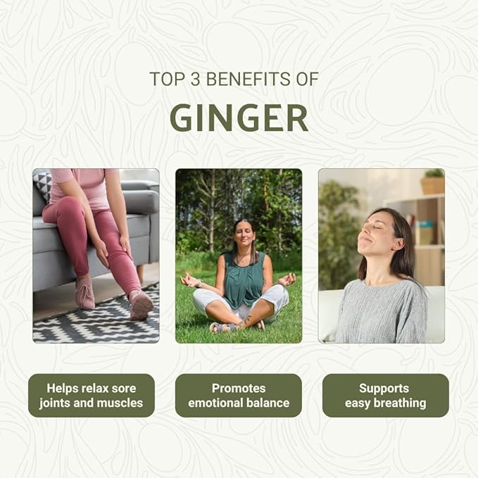 Ginger Essential Oil - Direct from Bio-Young Aromas - Pure Ginger Oil for Skin - Aceite de Jengibre - Aromatherapy 100% Therapeutic Premium Grade (22lbs)