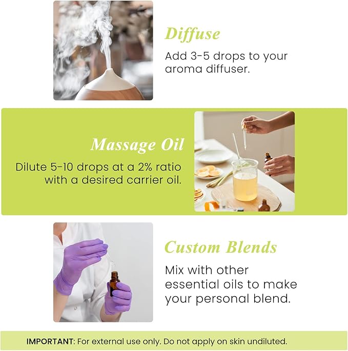 Handcraft Blends Citronella Essential Oil – Huge 4 Fl Oz – 100% Pure and Natural – Premium Grade Essential Oil for Diffuser and Aromatherapy, Skin, Massage, Candle and Soap Making Fragrance