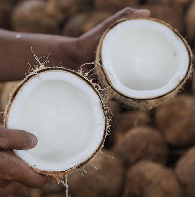 Fractionated Coconut Oil - Sourced Directly from our Farm Partner in the Philippines - Carrier Oil for Diluting Essential Oils, Body, Hair, and Skin Moisturizer - (4Gallons)