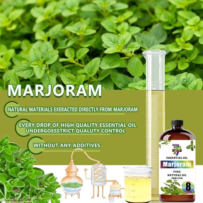 Marjoram Essential Oil (8 oz / 240 ml) – Marjoram Oils for diffusers, humidifiers, Home Baths, Cleaning Products, Yoga, DIY Soaps and DIY Scented Candles