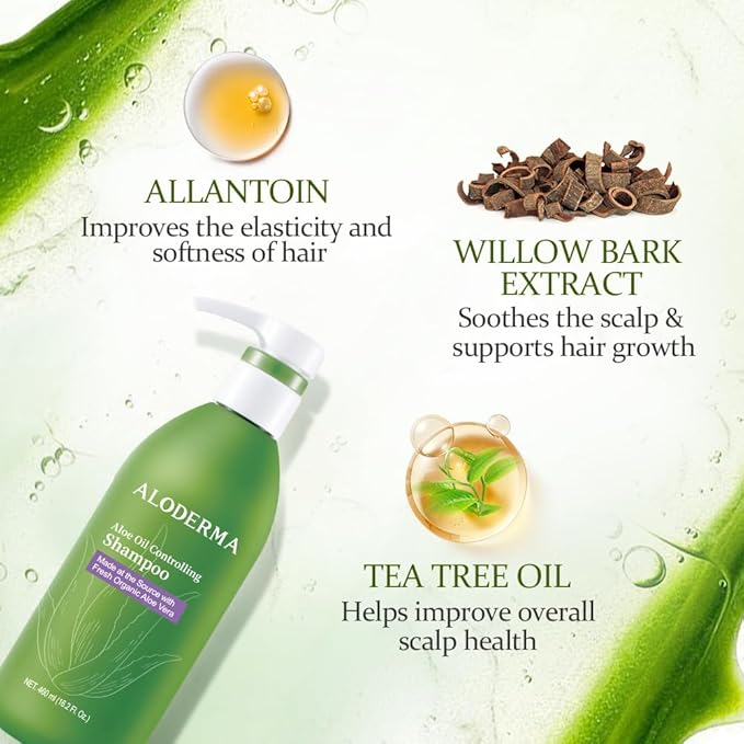 Aloderma Oil Controlling Shampoo Made with Freshly Harvest, Organic Aloe Vera for Oily Hair & Scalp - Infused with Tea Tree Oil and Willow Bark Extract to Gently Cleanse Build Up Without Drying - 16oz