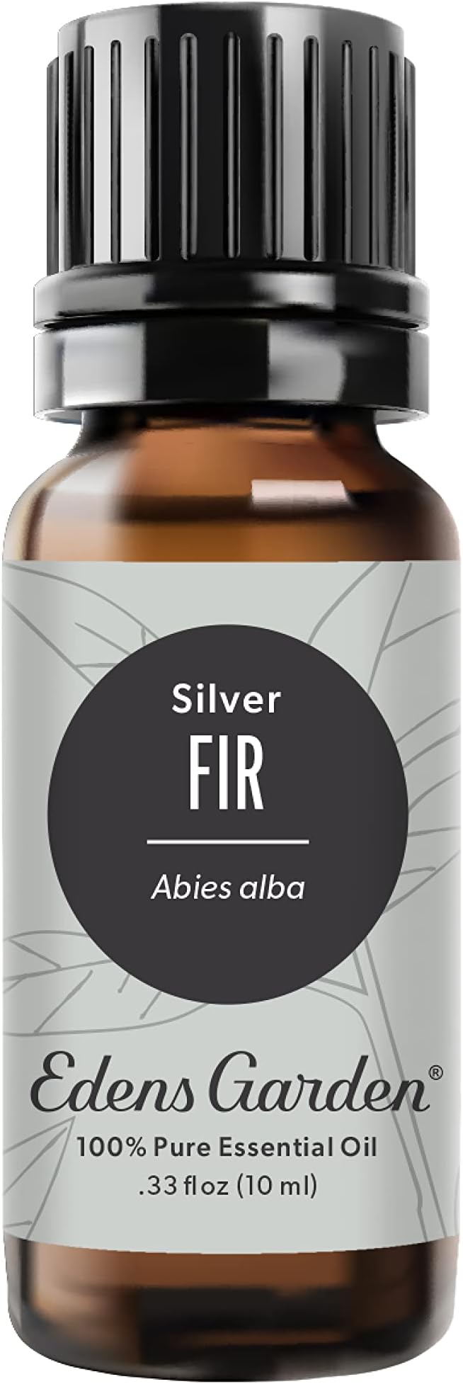 Edens Garden Fir- Silver Essential Oil, 100% Pure Therapeutic Grade (Undiluted Natural/Homeopathic Aromatherapy Scented Essential Oil Singles) 10 ml
