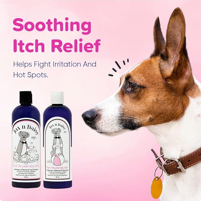Jax n Daisy Soothing Dog Shampoo for Sensitive Skin Allergies and Itching Jumbo Pack with 16oz Shampoo and Lotion for Dry Skin Soothing and Smell Eliminating Dog 2 Packs
