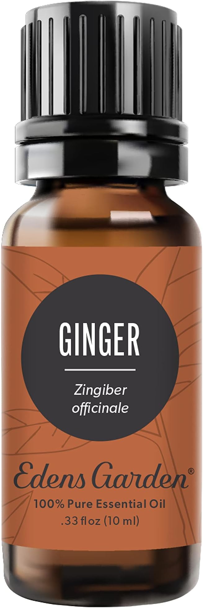 Edens Garden Ginger Essential Oil- 100% Pure Premium Grade, Undiluted, Natural, Therapeutic, Aromatherapy, The Best for Diffuser, Skin, Candle, Kid Safe 10 ml (.33 fl oz)
