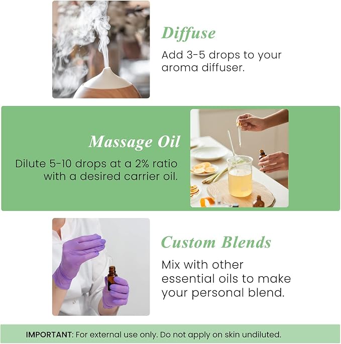 Handcraft Blends Basil Essential Oil – Huge 4 Fl Oz – 100% Pure and Natural – Premium Grade Essential Oil for Diffuser and Aromatherapy, Skin, Massage, Candle and Soap Making Fragrance