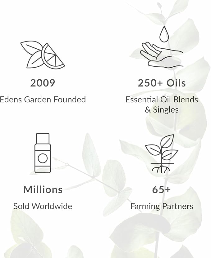 Edens Garden Cilantro Essential Oil- 100% Pure Premium Grade, Undiluted, Natural, Therapeutic, Aromatherapy, The Best for Diffuser, Candle, Laundry, Kid Safe 30 ml (1 fl oz)