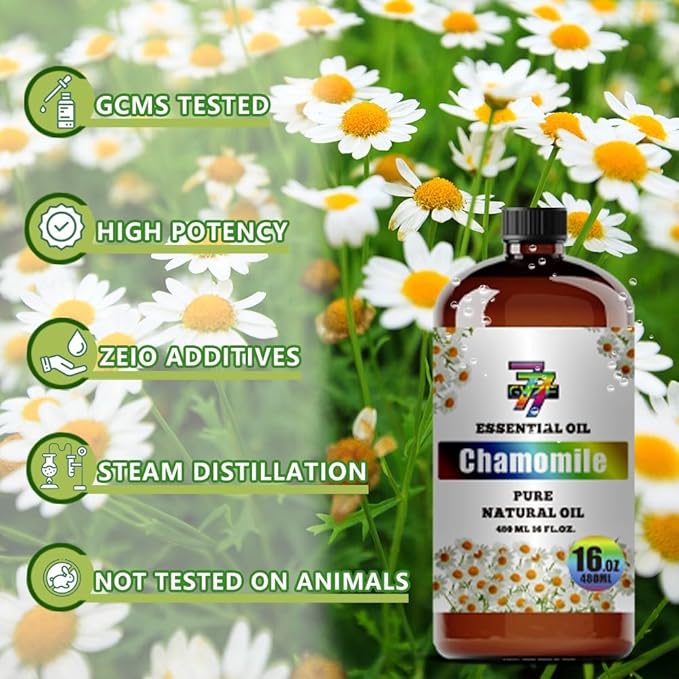 Chamomile Essential Oil (16 oz / 480 ml) – Chamomile Oils for diffusers, humidifiers, Home Baths, Cleaning Products, Yoga, DIY Soaps and DIY Scented Candles