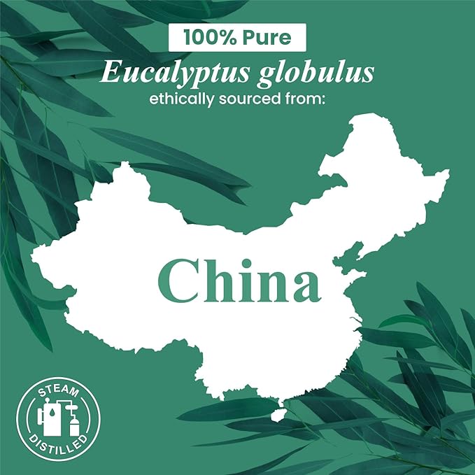 Handcraft Blends Eucalyptus Essential Oil – Huge 4 Fl Oz – 100% Pure and Natural – Premium Grade Essential Oil for Diffuser and Aromatherapy, Skin, Massage, Candle and Soap Making Fragrance