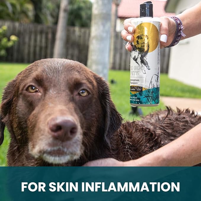 Holistic, Natural and Clean Pet Care Lemongrass Shampoo: Veterinarian Recommended - Hydrate Your Pet’s Coat With Our Hypoallergenic Shampoo For Dogs, Cats and Horses - Made in USA - 16 oz