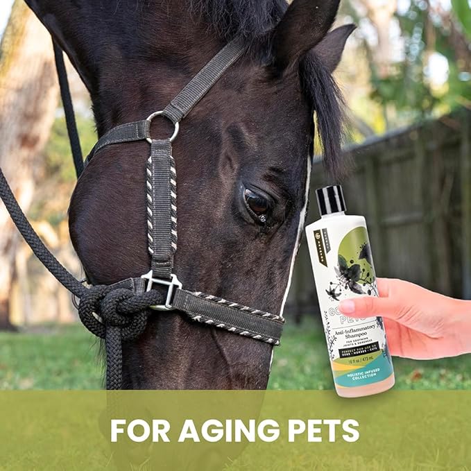Holistic Natural Anti-Inflammatory Pet Shampoo: Veterinarian Recommended: Soothing Joints & Soreness for Dogs, Cats and Horses - Made in USA - 16 oz