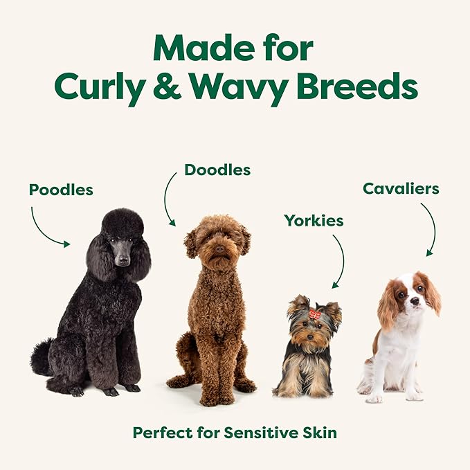 Earth Rated Hypoallergenic 3-in-1 Detangle Dog & Puppy Shampoo & Conditioner, Perfect for Doodles and Poodles, Deodorize 98.5% Natural, 16 oz