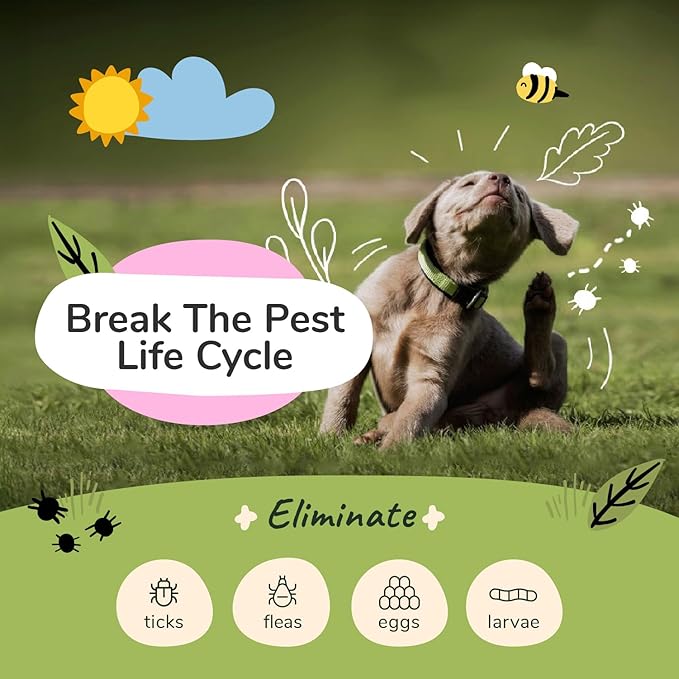 kin+kind Flea and Tick Shampoo for Dogs & Cats Vet Formulated - Plant Powered, Safe and Effective Dog and Cat Shampoo - Lemongrass Scent - Prevent Fleas and Ticks - Made in USA 12 fl oz