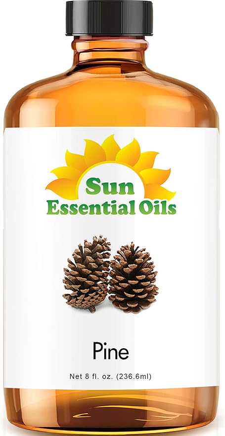 Sun Essential Oils 8oz Pine Essential Oil - Pine Aromatherapy Oil