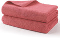 HOMEXCEL Professional Large Microfiber Car Drying Towels 2 Pack, Lint Free, Scratch Free, Highly Absorbent Drying Towel for Cars, SUVs, RVs, Trucks, and Boats,31" x 24",Red