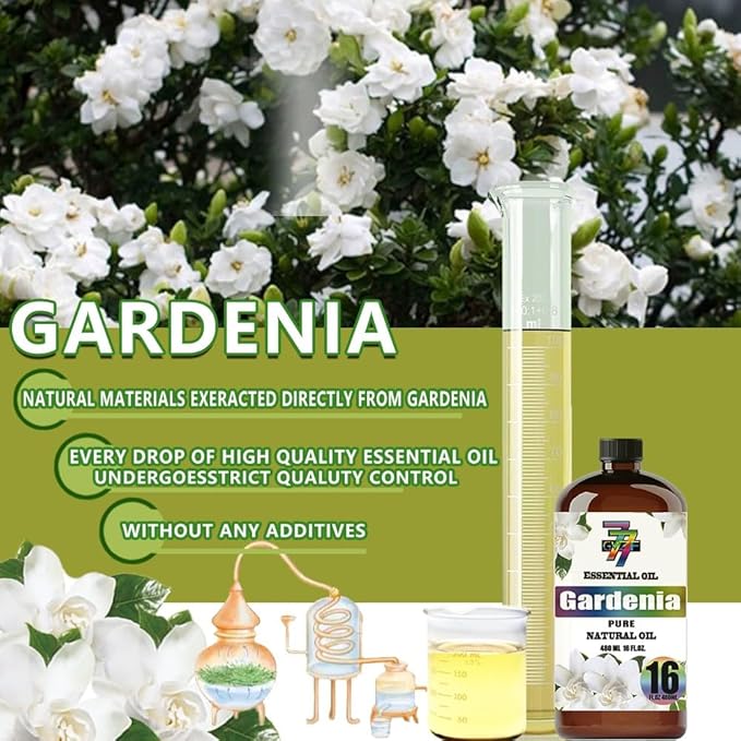 Gardenia Essential Oil (16 oz / 480 ml) – Gardenia Oils for diffusers, humidifiers, Home Baths, Cleaning Products, Yoga, DIY Soaps and DIY Scented Candles