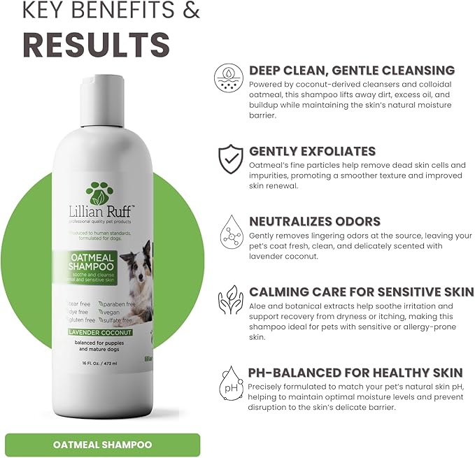 Lillian Ruff PRO Formula Deodorizing Oatmeal Dog Shampoo - Calms Itching & Allergies, Ultra-Nourishing Dry Skin Relief - Oatmeal, Aloe, Coconut Oil, Lavender & Provitamin B5 - Made in USA (16oz)