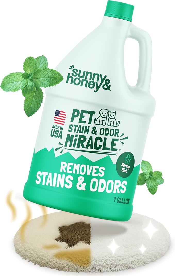 Sunny & Honey Enzyme Cleaner & Stain Remover - 1 gal (128 fl oz), Spring Mint Scent - Pet & Kid Safe Pet Enzyme Cleaner - Heavy Duty Carpet Cleaner Solution