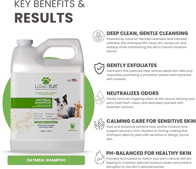 Lillian Ruff PRO Formula Deodorizing Oatmeal Dog Shampoo - Calms Itching & Allergies, Ultra-Nourishing Dry Skin Relief - Oatmeal, Aloe, Coconut Oil, Lavender & Provitamin B5 - Made in USA Gallon+Pump