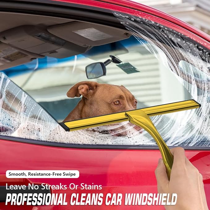 Stainless Steel Shower Squeegee for Glass Door with 3 Adhesive Hook, Glass Cleaning Squeegee for Bathroom & Household Window, Mirrors, Tiles and Car, Clear 10 Inches Golden