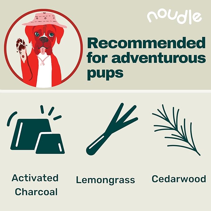 Pets - Deep Cleaning Shampoudle, 16oz, Moisturizing and Gentle All Natural pet Shampoo with Activated Charcoal, Lemongrass, Cedarwood, Pine, and Oatmeal