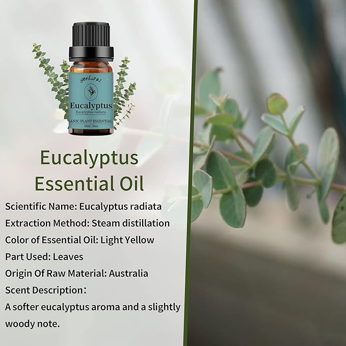 yethious Lavender Eucalyptus Essential Oil Organic Pure Plant Lavender Oil Essential Oil for Diffuser, Skin, Hair Care