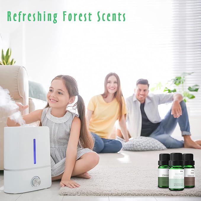 Fragrance Oil, MitFlor Woodland Set of Scented Essential Oils, 10ml x 6, Soap & Candle Making Scents, Essential Oils for Diffusers for Home, Pine Forest, Cedarwood, Oakmoss Amber & More