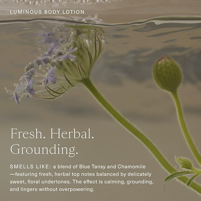 Oak Essentials Luminous Body Lotion | Hydrating Blue Tansy Body Cream with Rose Oil, Turmeric, Shea Butter and Coconut Oil, 1.33 Fl Oz (Travel Size)
