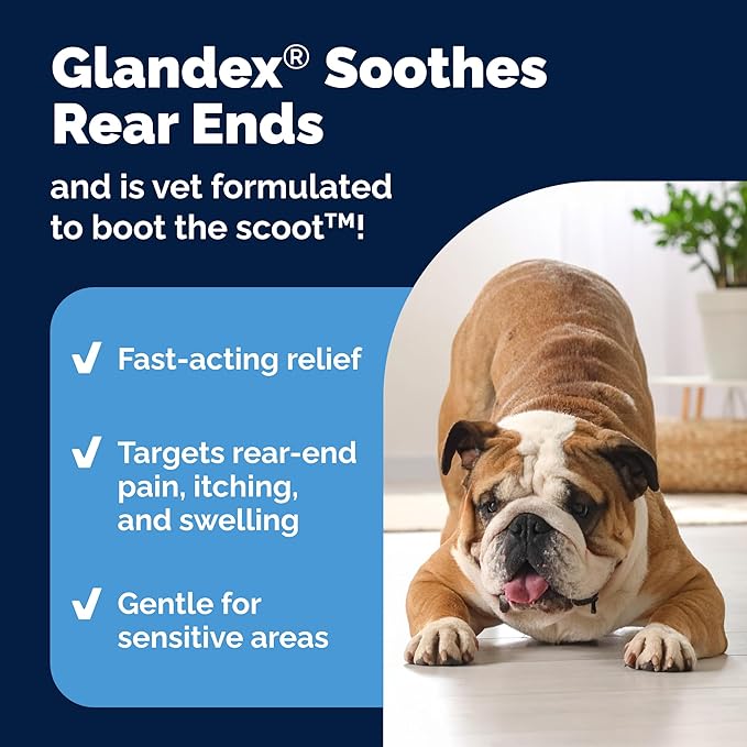 Vetnique Glandex Medicated Dog Butt Wipes or Spray for Dog Scooting - Topical Anti Itch Skin Relief for Soothing Inflamed Anal Glands in Dogs & Cats - Fast Acting Formula 50ct (50ct Wipes)