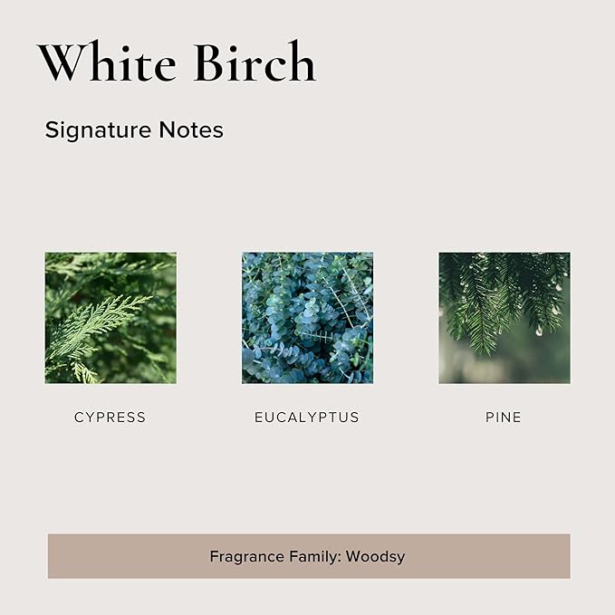 BROKEN TOP Organic Linen & Room Spray (White Birch)