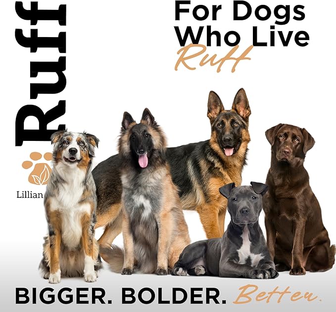 RUFF by Lillian Ruff Oatmeal Dog Shampoo | Sandalwood Amber | Professional Dog Shampoo With Aloe & Coconut Oil | Relieves Itching & Hot Spots | Moisturizing & Deodorizing | Safe for Puppies | USA Made