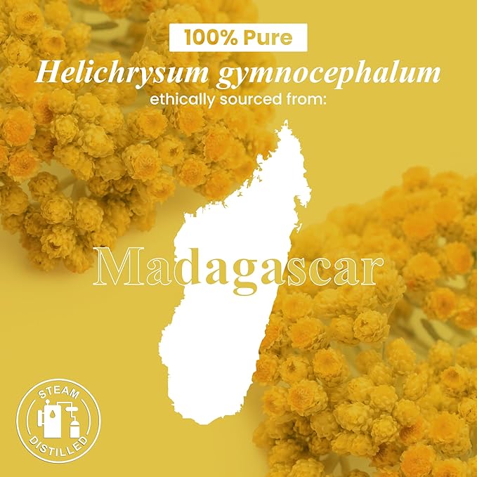 Handcraft Blends Helichrysum Essential Oil – 1 Fl Oz – 100% Pure and Natural – Premium Grade Essential Oil for Diffuser and Aromatherapy, Skin, Massage, Candle and Soap Making Fragrance