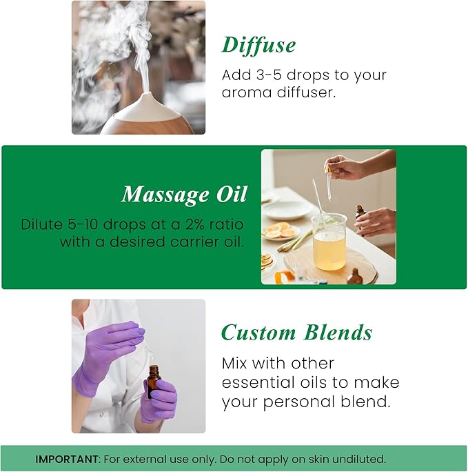 Handcraft Blends Organic Rosemary Essential Oil – 1 Fl Oz – 100% Pure and Natural – Premium Grade Essential Oil for Diffuser and Aromatherapy