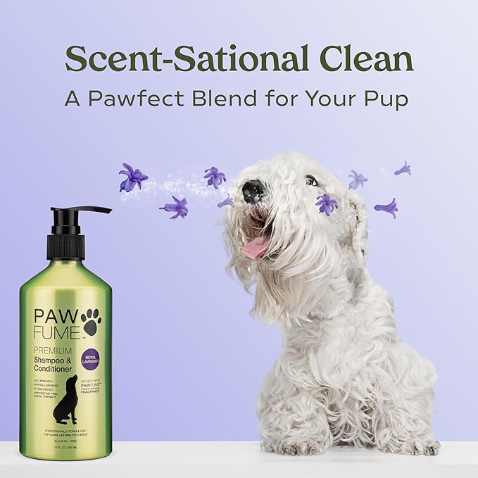 PAWFUME Dog Shedding Shampoo and Conditioner, Royal Lavender, 1-Pack – Nourish & Detangle for Silky Soft Coat – Probiotic, Deep-Cleaning, pH-Balanced – Salon-Quality Shedding Shampoo for Dogs