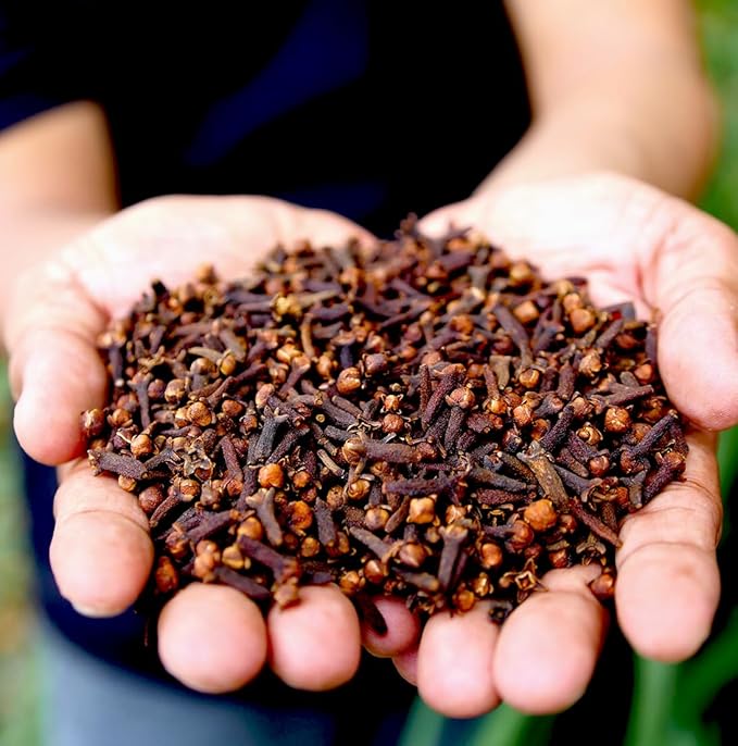 100% Pure Clove Essential Oils - Direct from Indonesian Essential Oils - Essential Oil for Diffusers Aromatherapy & Humidifiers (15ml) | Natural Cold-Pressed