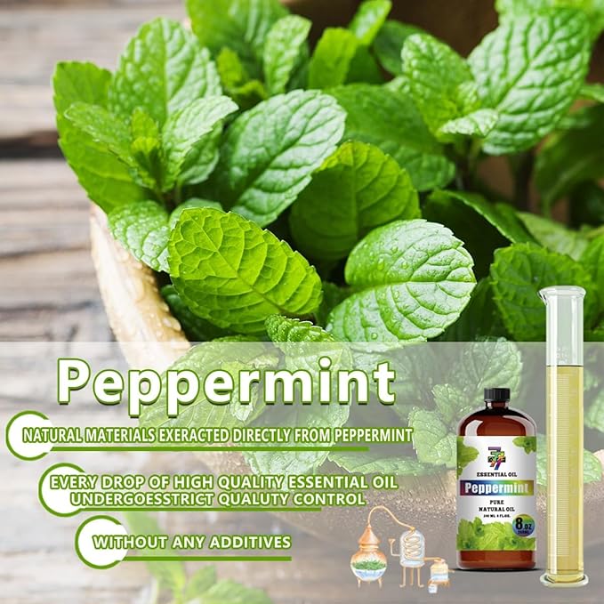 Peppermint Essential Oil (8 oz / 240 ml) – Peppermint Oils for diffusers, humidifiers, Home Baths, Cleaning Products, Yoga, DIY Soaps and DIY Scented Candles