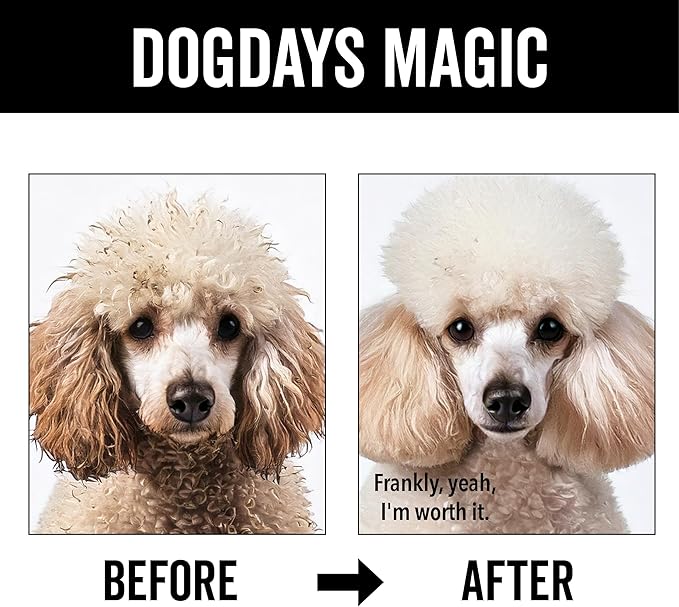 Pride and Groom DogDays Curly + Wavy Grooming Shampoo | Tearless, All-Natural Shampoo for No and Low Shedding Dogs | Moisturizing Formula for Soft, Shiny, & Healthy Fur – 16 oz