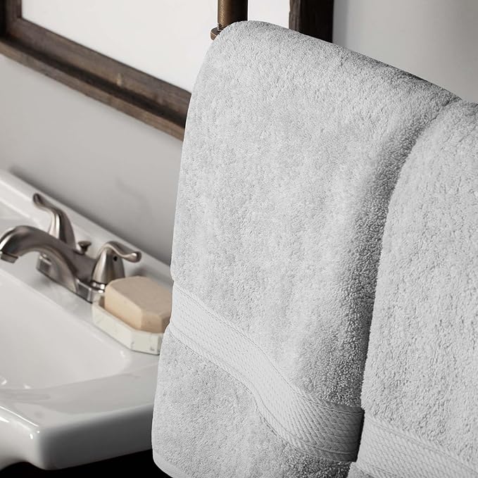 Superior Egyptian Cotton Pile 10 Piece Towel Set, Includes 2 Bath, 4 Hand, 4 Face Towels/Washcloths, Ultra Soft Luxury Towels, Thick Plush Essentials, Guest Bath, Spa, Hotel Bathroom, Silver