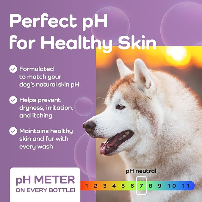 Sensitive Care -Tangle-Free-Silky Shine Softening and detangling Shampoo, Delicate Coat Clean & Odor Control Shampoo – Advanced Shine Formula for Dogs (Huskies, 16 Fluid Ounces)