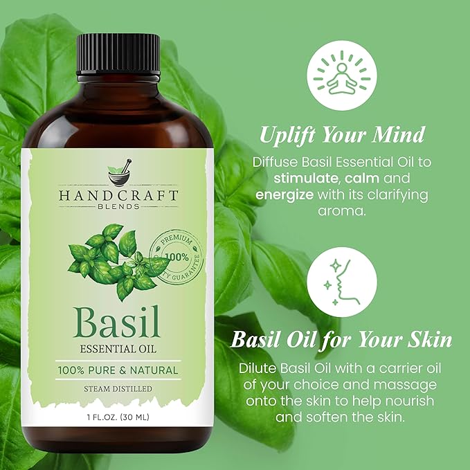 Handcraft Blends Basil Essential Oil – 1 Fl Oz – 100% Pure and Natural – Premium Grade Essential Oil for Diffuser and Aromatherapy, Skin, Massage, Candle and Soap Making Fragrance