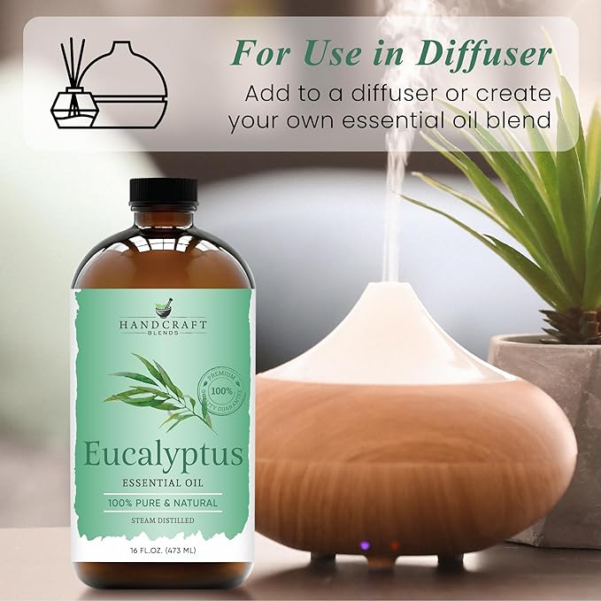 Handcraft Blends Eucalyptus Essential Oil in Glass Bottle – Huge 16 Fl Oz – 100% Pure and Natural – Premium Grade Oil for Diffuser and Aromatherapy, Skin, Massage, Candle and Soap Making Fragrance