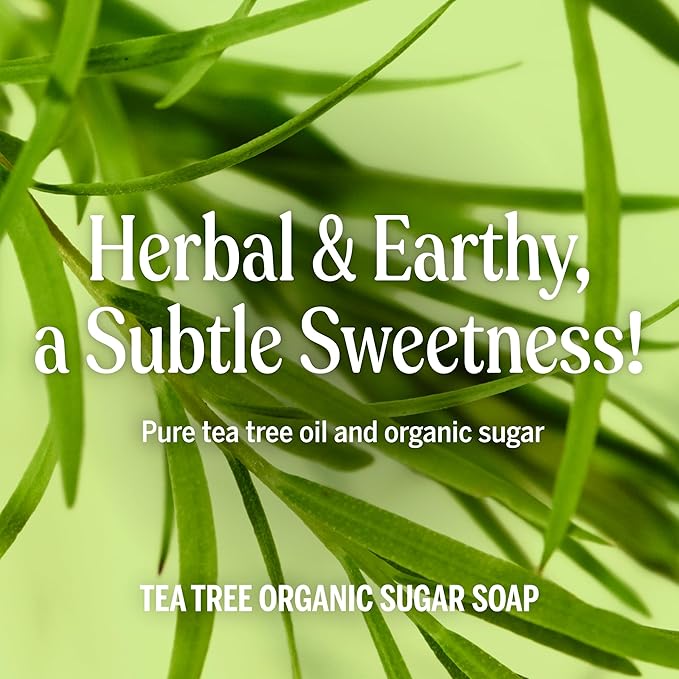 Dr. Bronner's - Organic Sugar Soap (Tea Tree, 24 Ounce) - Made with Organic Oils, Sugar and Shikakai Powder, 4-in-1 Uses: Hands, Body, Face and Hair, Cleanses, Moisturizes and Nourishes, Vegan