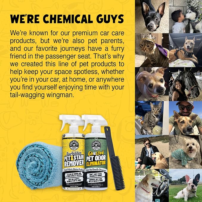 Chemical Guys Professional Rubber Pet Hair Removal Brush – Multi Surface Detailing & Pet Hair Removal Tool for Cars, Trucks, SUVs, RVs & Home – Removes Lint and Debris from Upholstery and Carpet