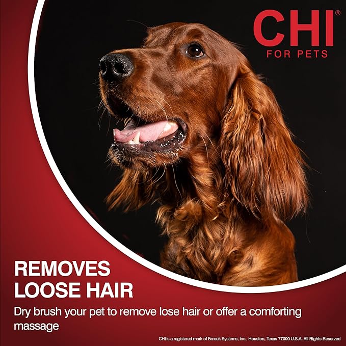 CHI for Dogs Detangling Grooming Glove - Dual-Sided Pet Glove for Wet or Dry Use - Dog Hair Remover and Deshedding Mitt for Gentle Brushing and Massaging - One Size Fits All