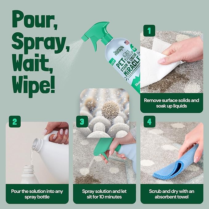 Sunny & Honey Enzyme Cleaner & Stain Remover - 1 gal (128 fl oz), Spring Mint Scent - Pet & Kid Safe Pet Enzyme Cleaner - Heavy Duty Carpet Cleaner Solution