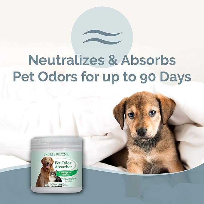 SMELLS BEGONE Air Freshener Odor Absorber Gel - 15 oz, Pack of 2 - Absorbs and Eliminates Odor in Pet Areas, Bathrooms, Cars, & Boats - Made with Essential Oils - Calming Rain Scent