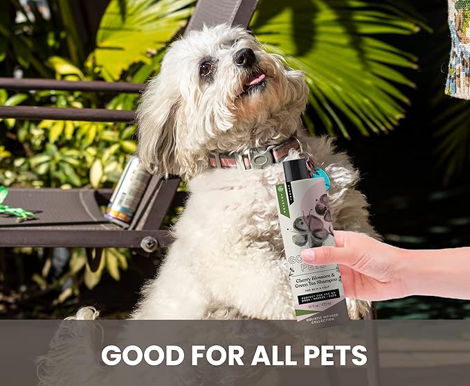 Holistic Natural Derived Cherry Blossom & Green Tea Pet Shampoo: Veterinarian Recommended - Remove Dirt and Condition Your Dog, Cat and Horse Coat - Made in USA - 16 oz