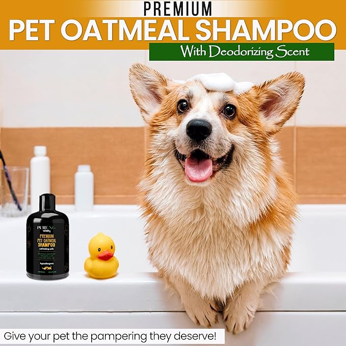 Dry Skin & Anti Itch Shampoo for Dogs | Oatmeal Dog Shampoo | Itchy Skin Relief | Hypoallergenic with Anti Dandruff Treatment | Anti-Fungal & Alcohol-Free | Nutrient-Rich | Suitable for All Pets